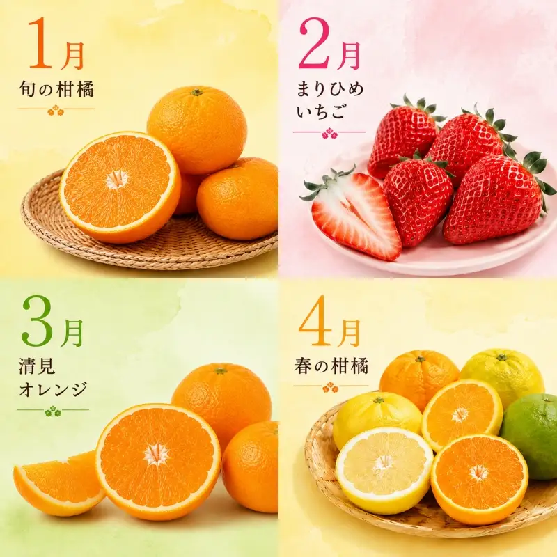 【旬のくだもの定期便】和歌山県の旬のフルーツを毎月お届け！　全12回【Ｓ】（配送日時指定不可）※北海道・沖縄・離島への配送不可 / 定期便 フルーツ みかん いちご イチゴ すいか 桃 柿 ジュース 12回 【ard-tkb901A】