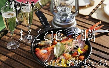 【12回定期便】 海鮮 定期便 海鮮 鯛 かつお 海鮮 ry012