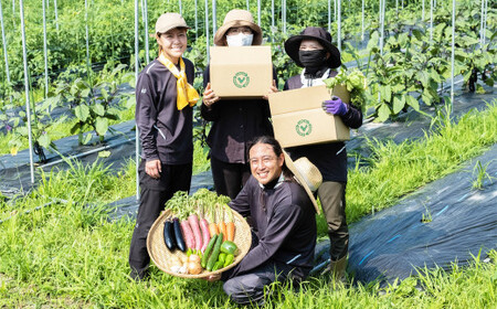 新鮮！採れたて！HAN 季節のお野菜 詰め合わせ セット