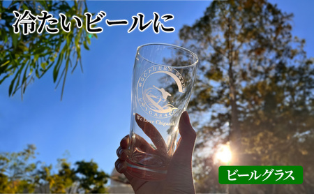 グラスセット サザンC タンブラー ビールグラス グラスセット【選べる2個】 A(ｻｰﾌｨﾝ×ｻｰﾌｨﾝ)
