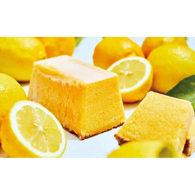 メゾンカカオ 夏季限定 MAISON CAKE レモン 1個 数量限定 冷凍配送 神奈川県茅ヶ崎市