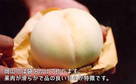 桃 ぶどう 2026年 白桃 晩生種 2玉 シャイン マスカット 1房 合計約1kg