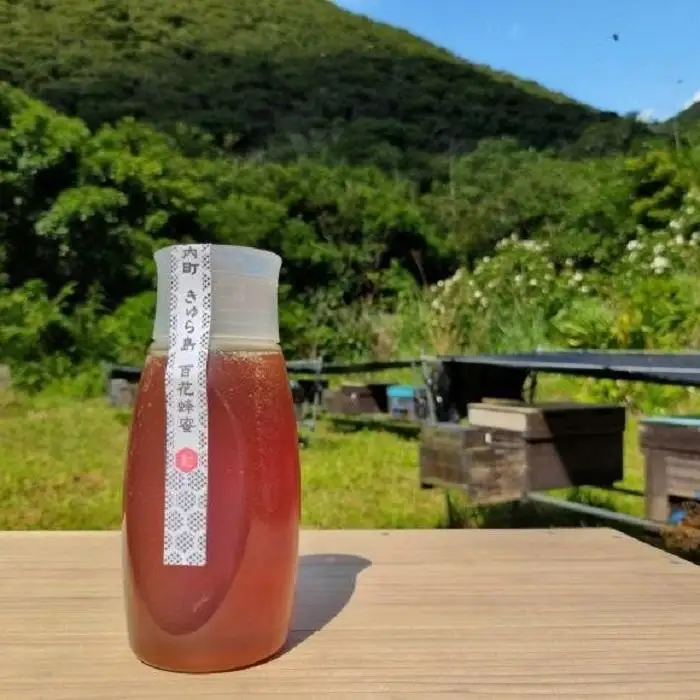 【奄美大島 きゅら島】百花蜂蜜 500g×1本|はちみつ ハチミツ