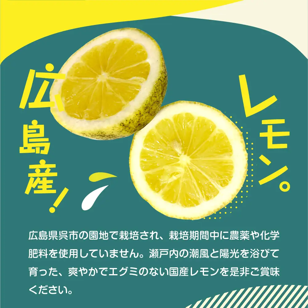 【先行受付】【2026年11月上旬～発送】【訳あり】希少な国産オーガニックレモン2.0kg【栽培期間中農薬不使用】ku026-004-26