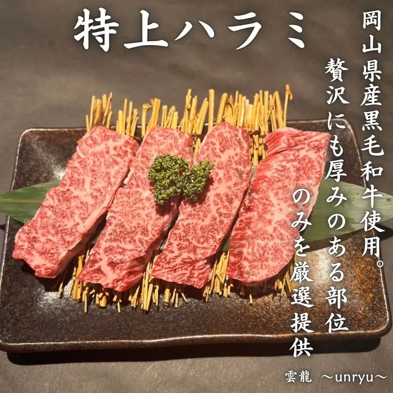 定期便 3ヶ月 厳選 特上 ハラミ (横隔膜) 各回合計約900g【雲龍焼肉たれ付】  岡山県産 牛肉