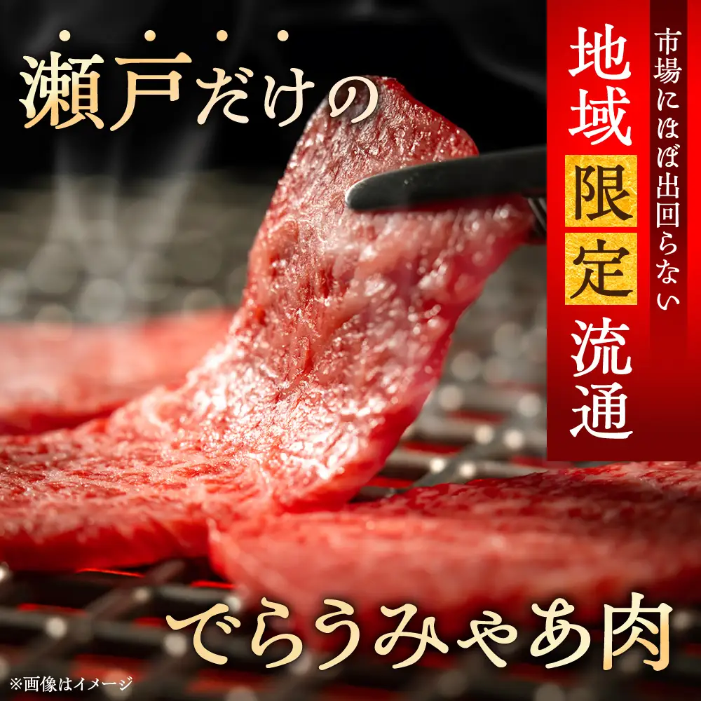 【ふるなびWEEK対象】【訳あり】瀬戸山麓牛焼肉用切り落とし500g（250g×2P）/ 牛肉 お肉 国産 冷凍  [BBBQ047]