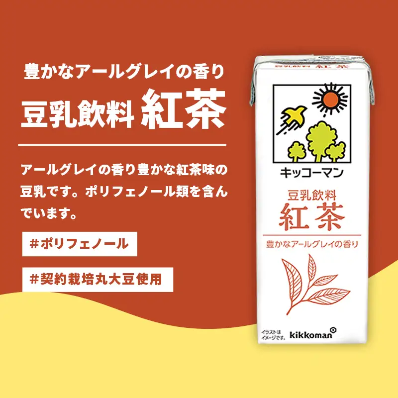 豆乳 豆乳飲料 紅茶 1000ml×18本 【定期便3回】 キッコーマン  【価格改定XA】