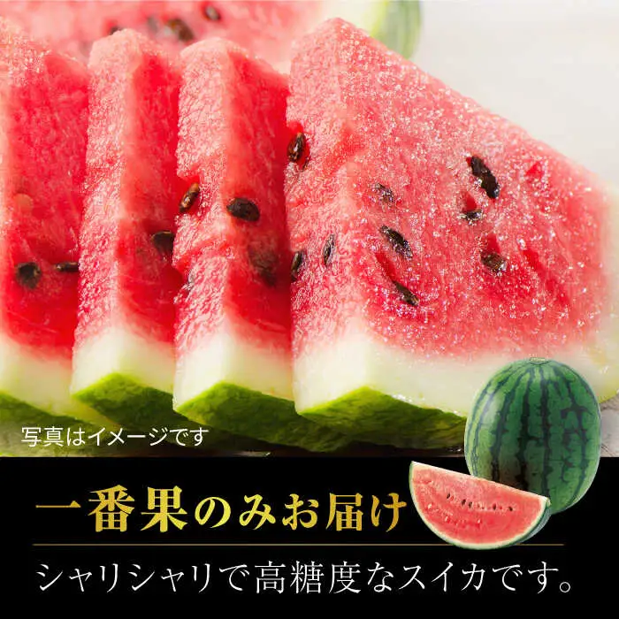 【先行予約】熊本スイカ小玉スイカひとりじめ2玉2Lサイズ西瓜すいかZCM011