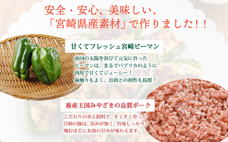国産黒豚と肉厚な宮崎県産ピーマンを使用 ピーマンの肉詰め2.5kg(500g×5p)TF0741-P00064