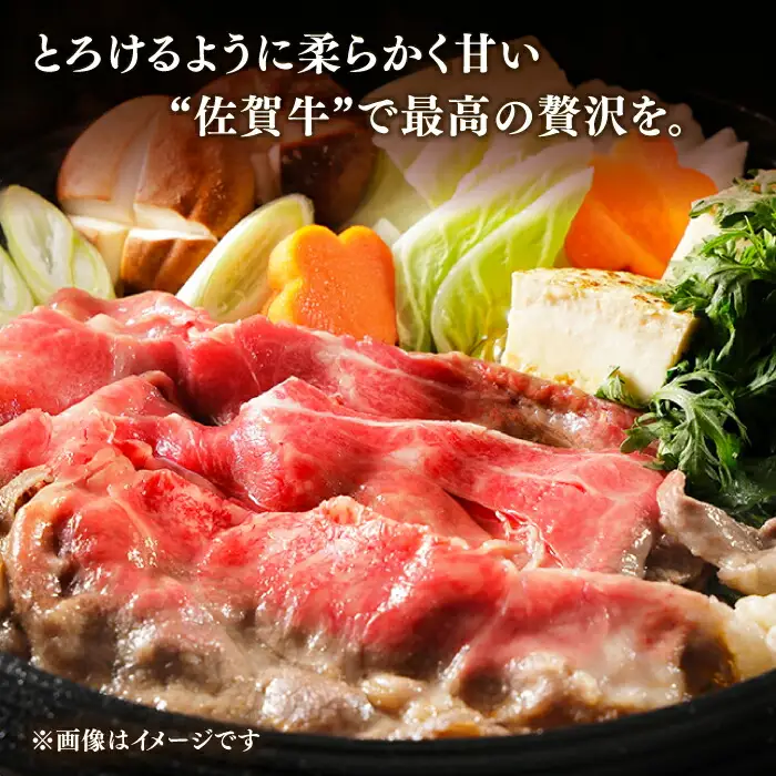 【定期便】 牛肉 佐賀牛 夏の定期便 NAB104 牛肉