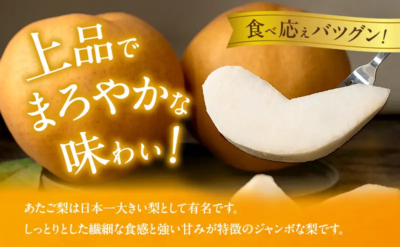梨 2026年 先行予約 ご家庭用 あたご梨 3～9玉入り約4kg 化粧箱【11月下旬～12月中旬頃発送】 ナシ なし 岡山県産 国産 フルーツ 果物 石原果樹園 
