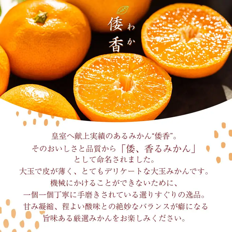 【2027年1月中旬より順次配送】献上みかん「倭香(わか)」2.8kg みかん be-0105