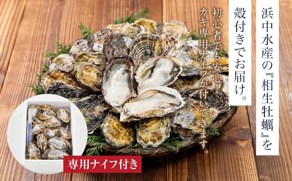 ★先行予約★【2月発送】特選！殻付き生牡蠣 20個【漁師直送！】