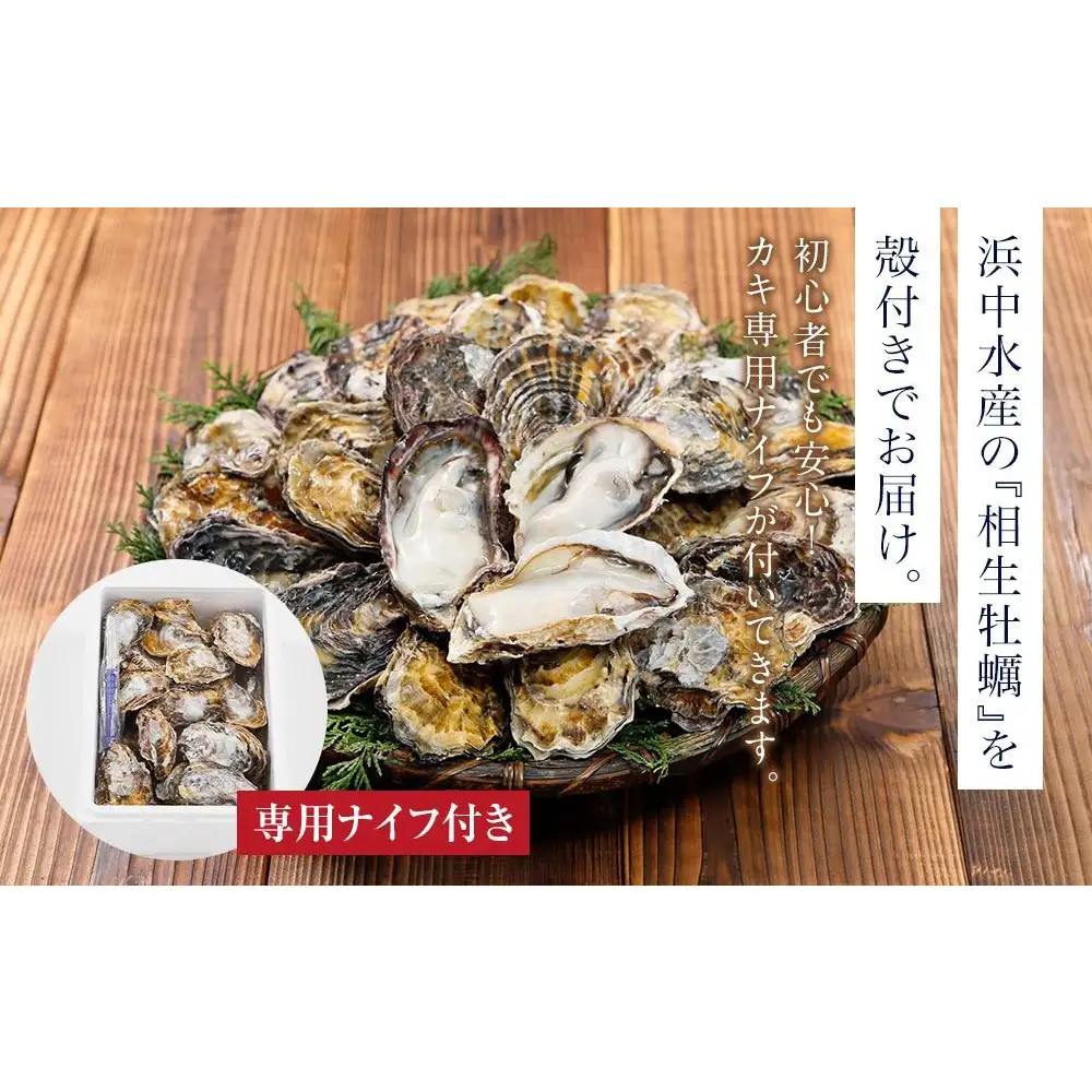 【先行予約】【5月発送】特選！殻付き生牡蠣 20個【漁師直送！】