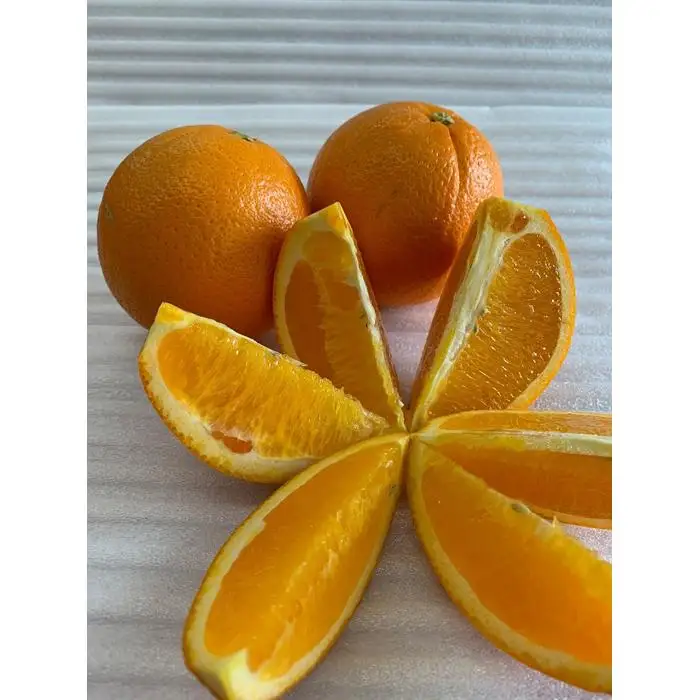 完熟ネーブルオレンジ 赤秀品 5kg（М・L・2L/サイズ指定不可）