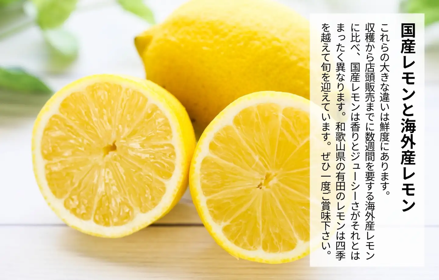 レモン 大玉 国産 箱込5kg(内容量約4.4kg) 秀品 3L 4L 5L サイズミックス 和歌山県有田産 【みかんの会】