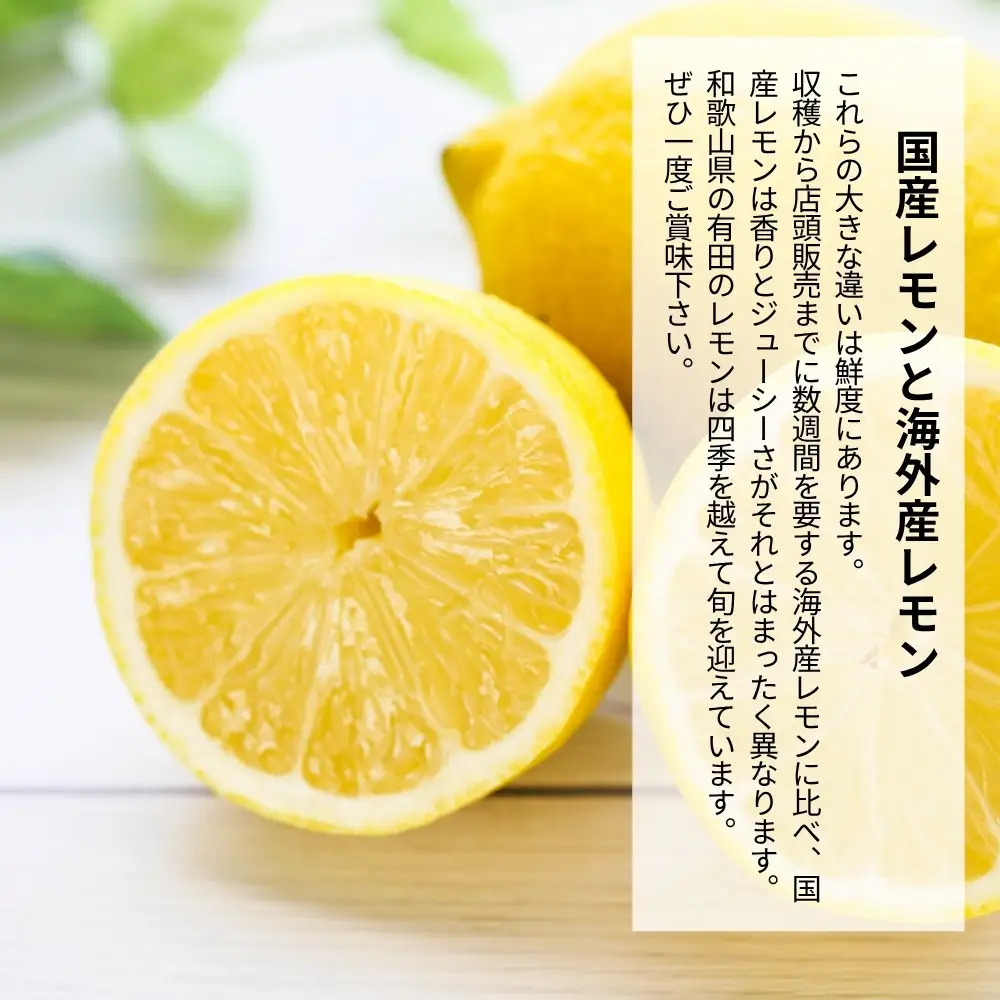レモン 小玉 国産 箱込2.5kg(内容量約2.3kg) 秀品 S M L サイズミックス 和歌山県有田産 【みかんの会】