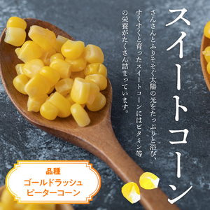 極甘つぶコーン 食べ比べ 250g×各6袋 とうもろこし ゴールドラッシュ ピーターコーン トッピング キャンプ飯 スープ サラダ 送料無料 冷凍発送 北海道 十勝 芽室町me016-002c