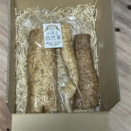 【先行予約】山薫る自然薯 カット品700g以上【配送不可地域：離島】【1475178】