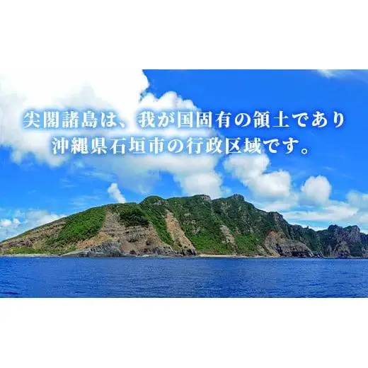 【返礼品なし】石垣市の宝「尖閣諸島」資料収集及び情報発信等事業 の為の寄附(500,000円)