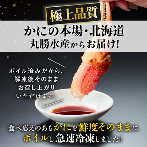 訳あり ズワイガニ 爪 600g 冷凍 ボイル 【定期便 3回お届け】 ずわいがに ずわい蟹 カニ かに 蟹 しゃぶしゃぶ カニしゃぶ  サイズ違い 不揃い 規格外 年末年始 お歳暮 正月 ギフト 2025
