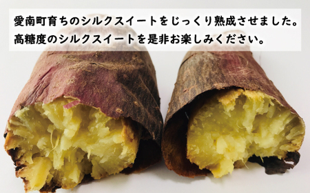 訳あり 熟成 シルクスイート 5kg サイズ混合 サツマイモ 焼き芋 干し芋 丸干し 冷凍焼き芋 冷やし焼き芋 やきいも 蜜芋 ほしいも スイートポテト フライドポテト いも天 サイズミックス 甘い ねっとり しっとり ほくほく 生芋 新芋 芋 いも 甘藷 スイーツ おかず さつまいも 国産 人気 糖度 産地直送 農家直送 数量限定 7000円 愛媛県 愛南町 ミッチーのおみかん畑