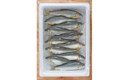 （冷蔵）　鮎　約1kg／大森水産　あゆ　お取り寄せグルメ　川魚　和食　三重県　大台町