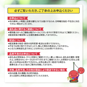 梨フルーツ千両梨妹尾観光農園 北海道産 梨【5kg10個前後】