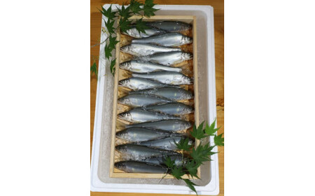 （冷蔵）　鮎　約1.4kg　／大森水産　あゆ　お取り寄せグルメ　川魚　和食　三重県　大台町
