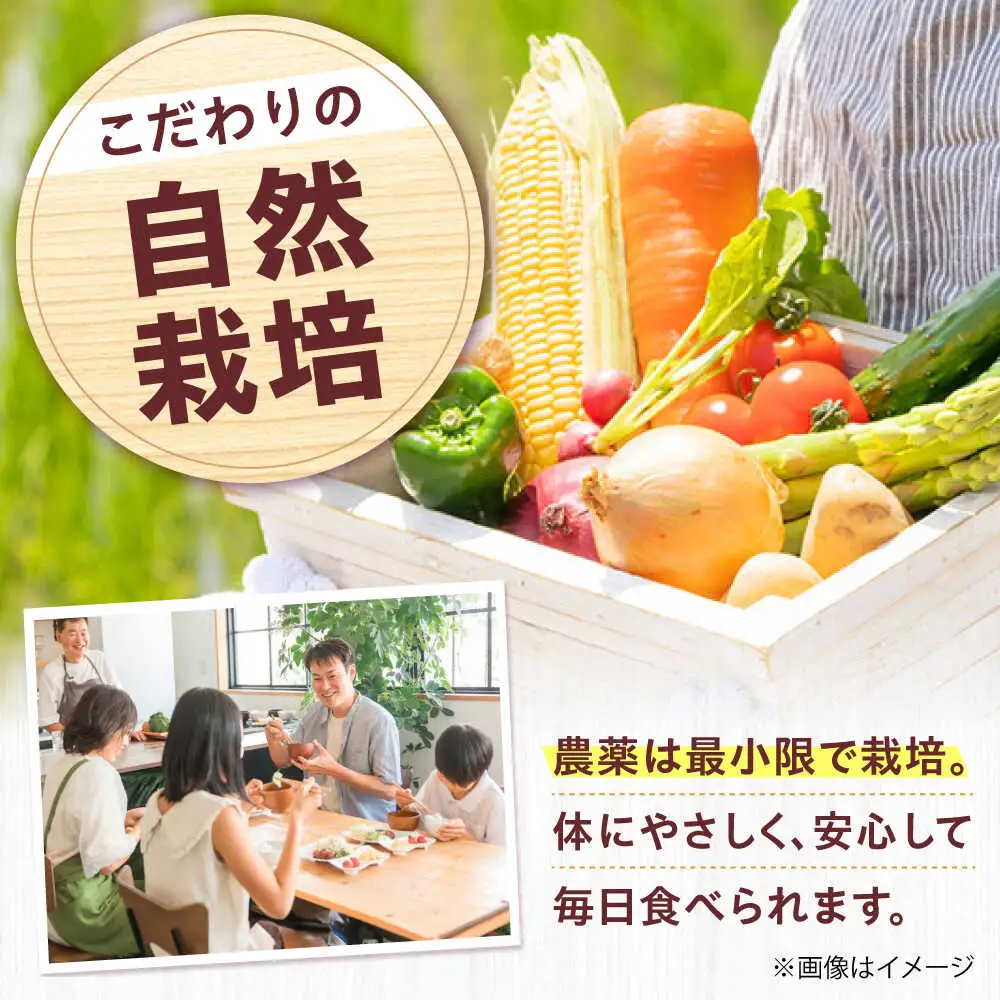 高槻野菜詰め合わせ 1月（10〜15種）＆農家さん自家製ゆず果汁[AOCS003] 野菜