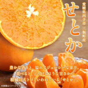 【先行予約】＜玉やま農園直送 せとか 約5kg 贈答用＞ 数量限定 期間限定 5キロ みかん ミカン 蜜柑 柑橘 フルーツ 果物 果実 くだもの 特産品 甘い ジューシー 旬 ギフト 贈り物 プレゼント 愛媛県 西予市 【常温】『2027年3月上旬～3月下旬迄に順次出荷予定』MTN0002