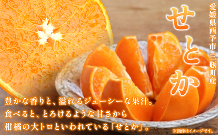 【先行予約】＜【訳あり】 玉やま農園直送 せとか 家庭用 約5kg ＞ 数量限定 期間限定 5キロ みかん ミカン 蜜柑 柑橘類 フルーツ 果物 果実 くだもの 特産品 甘い ジューシー 旬 ご自宅用 訳アリ 愛媛県 西予市 【常温】『2027年3月上旬～3月下旬迄に順次出荷予定』MTN0003