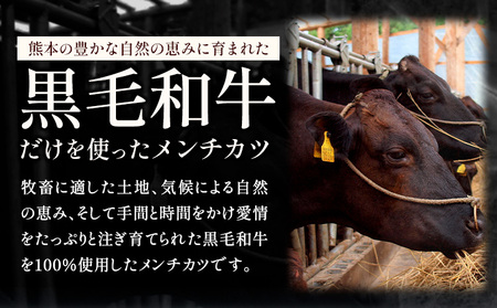 メンチカツ 黒毛和牛メンチカツ 約120g×6個 絶品 ブランド牛 黒毛和種 有限会社トップルーフ《30日以内に出荷予定(土日祝除く)》熊本県 大津町 送料無料 st-p
