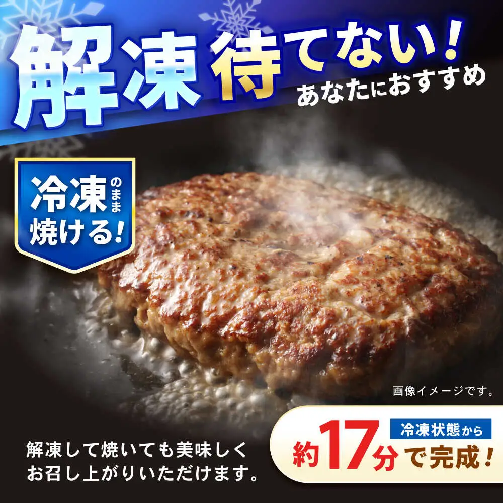 長崎和牛 ハンバーグ 150g×10パック / 和牛 長崎和牛 ハンバーグ はんばーぐ 小分け / 諫早市 / 有限会社長崎フードサービス [AHDD004]