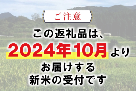 お好みに合わせて精米！令和6年産 コシヒカリ 玄米 12kg 新米 先行受付 東白川村産 お米 こめ 10000円 一万円