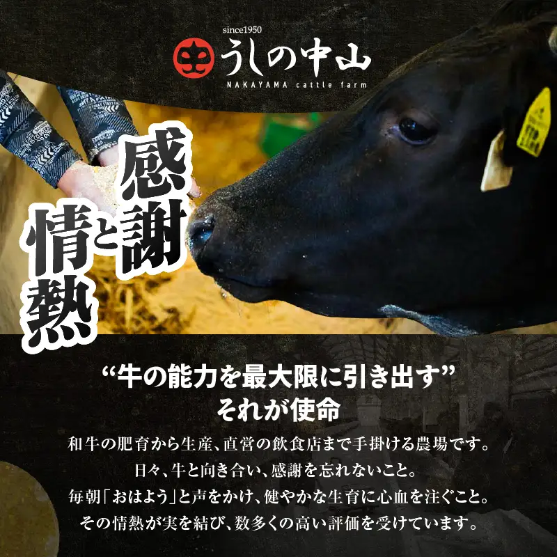 2232-1 【訳あり】うしの中山 黒毛和牛 切り落とし 800g KN050-031 肉 牛 和牛