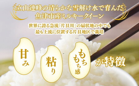 【3ヶ月定期便】【令和6年度米】「魚津のミルキークイーン（晃米）」5kg（白米） ｜新米 環境配慮 MK農産 お米 ブランド米 銘柄米 精米 ご飯 おにぎり 産地直送 甘み 粘り もちもち ※2024年10月下旬頃より順次発送予定 ※北海道・沖縄・離島への配送不可