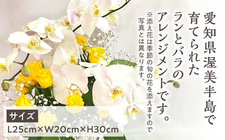 器に盛ったランとバラのアレンジ S 花 薔薇 胡蝶蘭 花