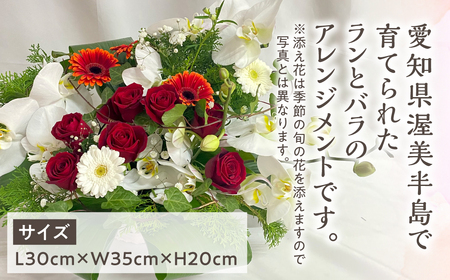 器に盛ったランとバラのアレンジ M 花 薔薇 胡蝶蘭 花