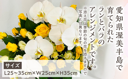 器に盛ったランとバラのアレンジ L 花 薔薇 胡蝶蘭 花