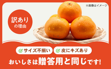 みかん 訳あり せとか 約3kg フルーツ 果物 みかん 訳あり BJAZ004