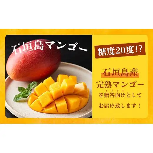 最高糖度20度！？ 完熟の極！3Lサイズ 石垣島マンゴー 1玉入り約400g《2027年6月中旬順次発送》【贈答向け】