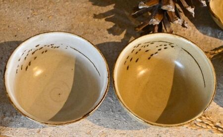 米の飯より思し召し 夫婦茶碗セット 食器 皿 器 日本製 米の飯より思し召し
