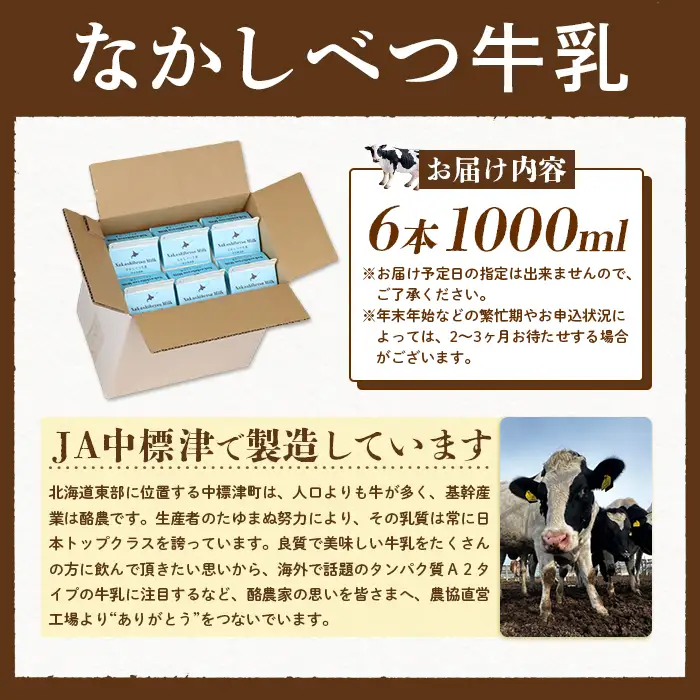なかしべつ牛乳 1L×６本 牛乳 北海道 ミルク 乳製品 乳飲料 健康 朝食 高栄養 国産 お取り寄せ 8000円 8,000円 ふるさと納税 中標津町 中標津【1402602】