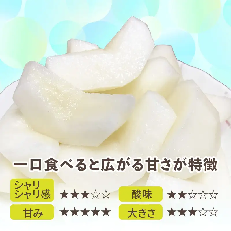 【先行予約】上野梨園の幸水梨 約3kg  4L～6L【秀品】《数量限定》梨園直送！ / 期間限定 果物 フルーツ 農家直送 シャキシャキ もぎたて 旬 お取り寄せ ※2027年8月下旬より順次発送 [aw077-a024]