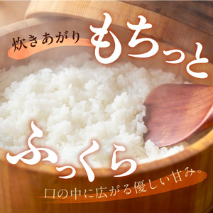 【先行予約】令和8年産 新米 【定期便3回】カワノ農園　MOA自然農法米「森のくまさん」白米5kg 米 無農薬 ブランド米 自然農法プラチナ 白米 カワノ農園 安心 安全 体に優しい 食品 送料無料【熊本県宇土市】_U70-T270_1