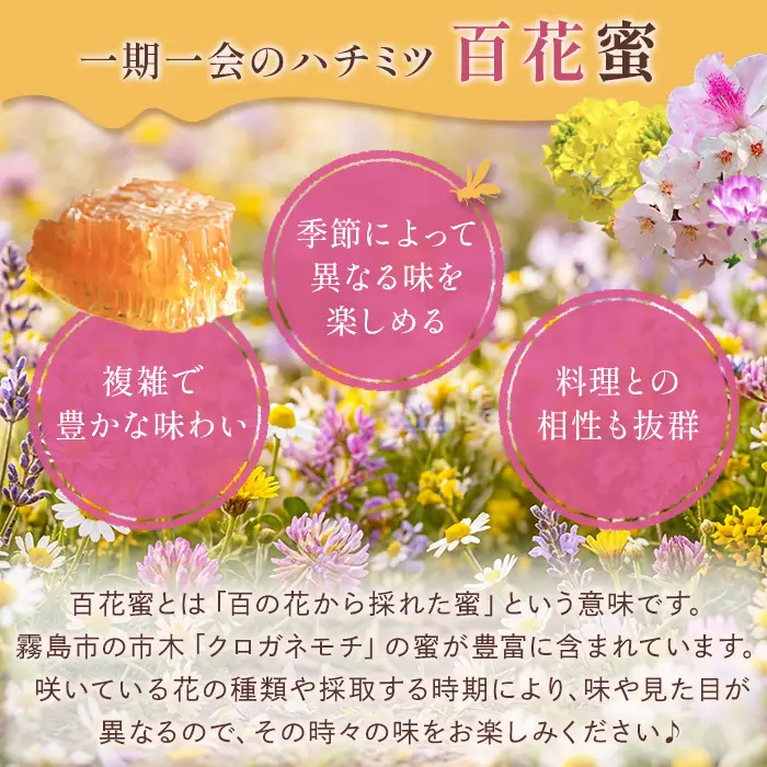 K-126-B ＜数量限定＞霧島産百花蜜(500g) ＜無添加 非加熱 着色料・保存料不使用＞ 純粋ハチミツ 100%天然【冨吉養蜂】霧島市 はちみつ 蜂蜜 ハニー 純粋 純国産