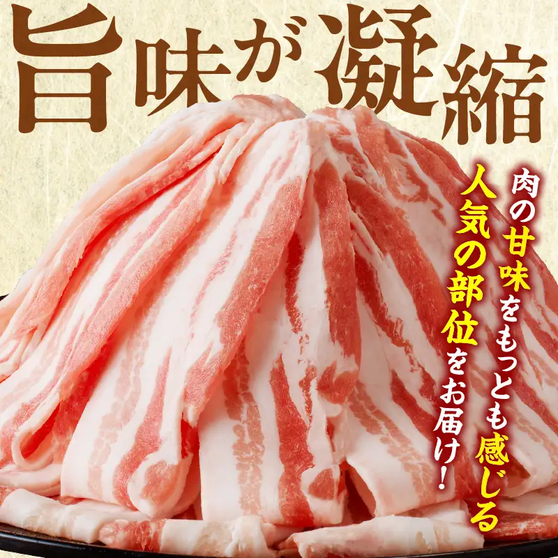 宮崎県産豚バラスライス計1kg 肉 豚 豚肉 おかず 国産_T009-0116