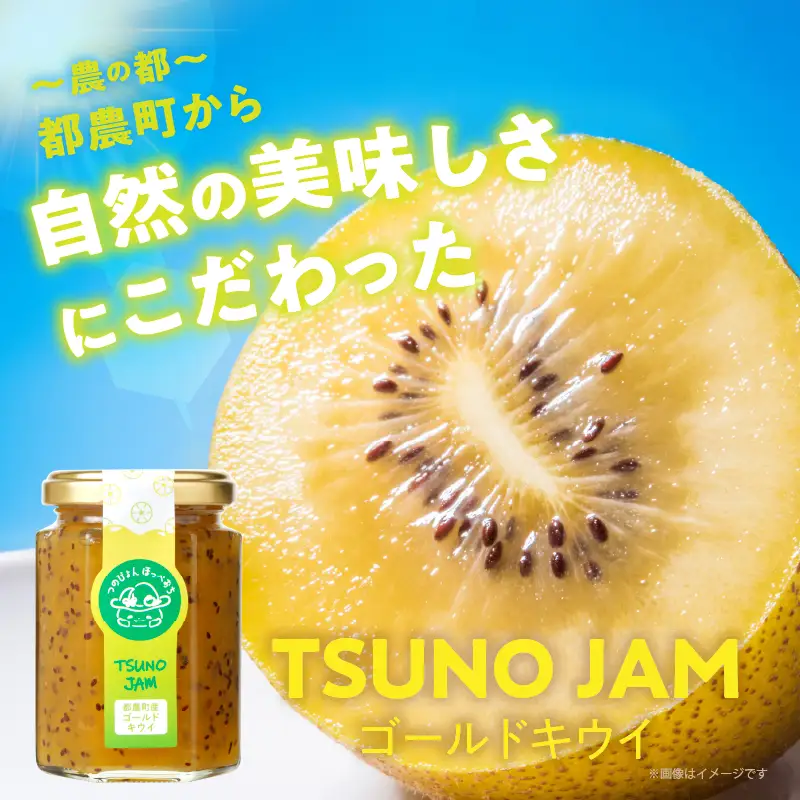 TSUNO JAMゴールドキウイ(計3個) 加工食品 フルーツ 果物  国産_T043-0055