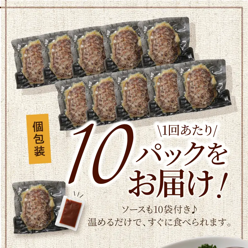 【3回定期便】本格調理済ハンバーグ10食 特製ソース付【001-0377】